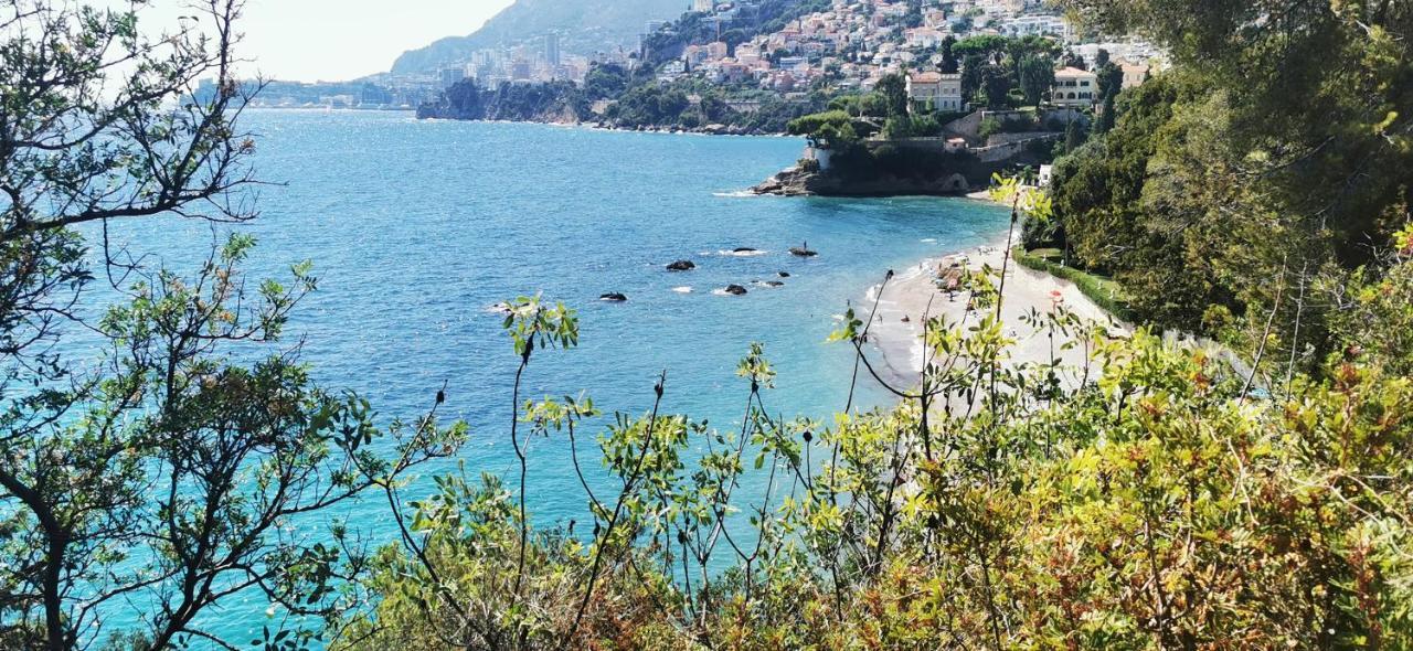Vue Magnifique, Piscine Privee Chauffee Et Sauna A 10Min De Monaco 罗克布吕讷-卡普马丹 外观 照片
