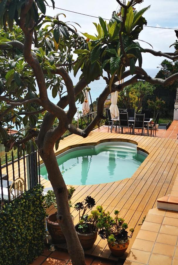 Vue Magnifique, Piscine Privee Chauffee Et Sauna A 10Min De Monaco 罗克布吕讷-卡普马丹 外观 照片